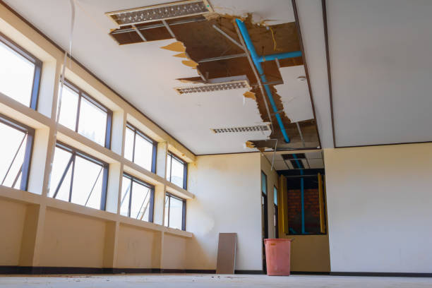 Best Commercial water damage restoration  in Lincoln, MT