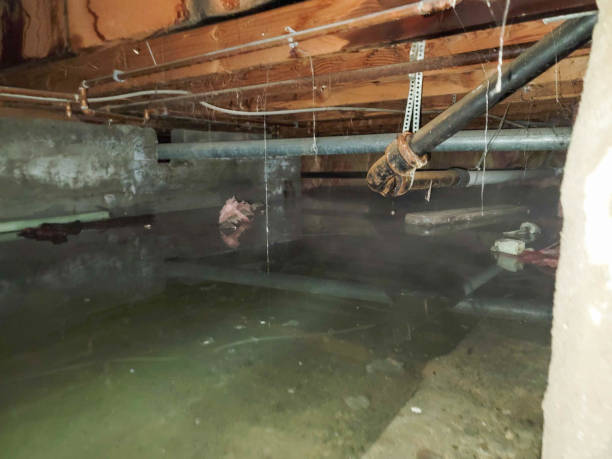 Water damage restoration experts in Lincoln, MT