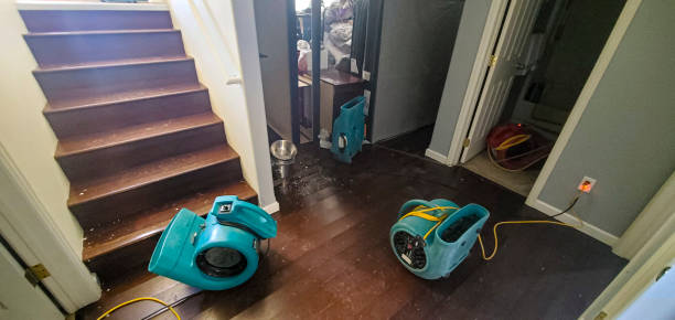 Best Local water damage restoration  in Lincoln, MT