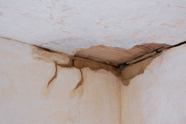 Trusted Lincoln, MT Water damage restoration Experts