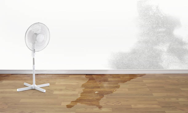 Best Residential water damage restoration  in Lincoln, MT