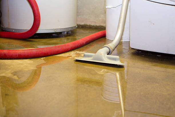 Best Local water damage restoration  in Lincoln, MT