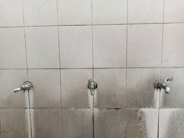 Best Ceiling water damage repair  in Lincoln, MT