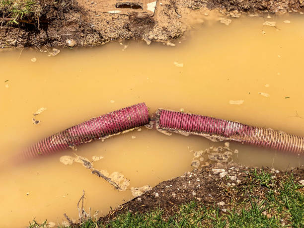 Best Water damage restoration company  in Lincoln, MT